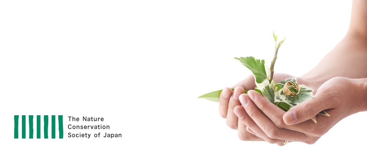 日本自然保護協会 / NACS-J